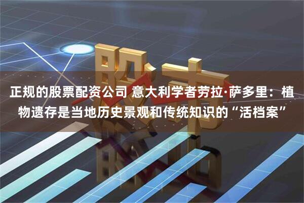 正规的股票配资公司 意大利学者劳拉·萨多里：植物遗存是当地历史景观和传统知识的“活档案”